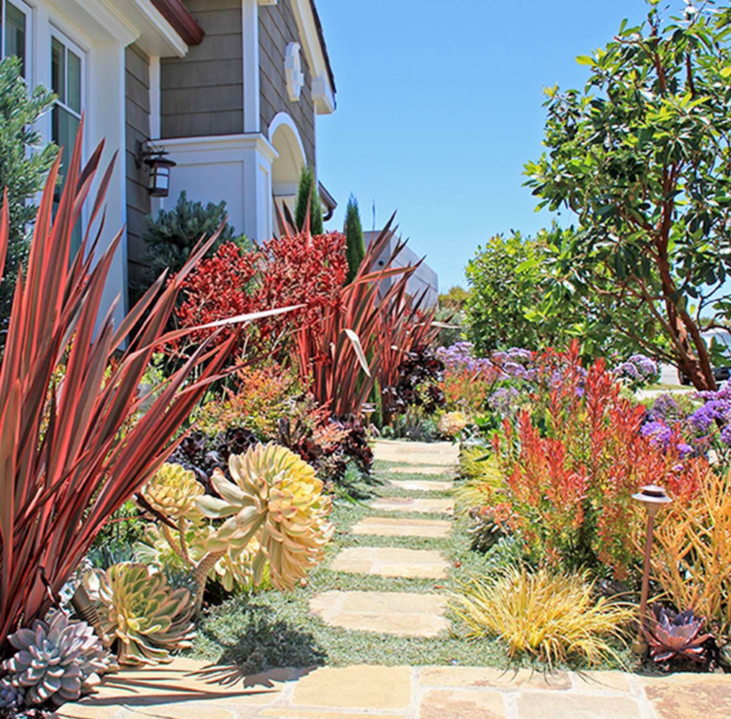 Best Landscaping Plants for California: Top Choices for Stunning Gardens
