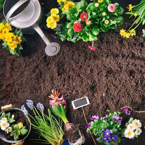 May Gardening Checklist – Roger's Gardens