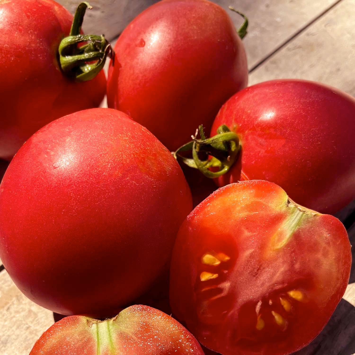 Dwarf_Melanie_Ballet.jpg?v=