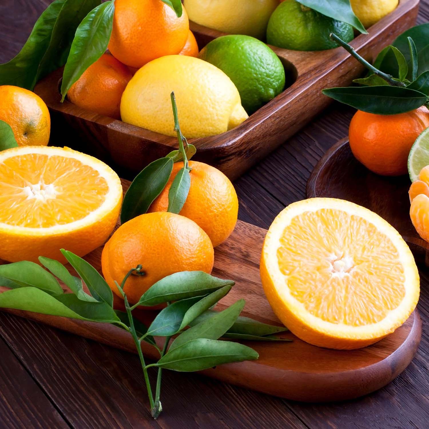 Citrus – Roger's Gardens