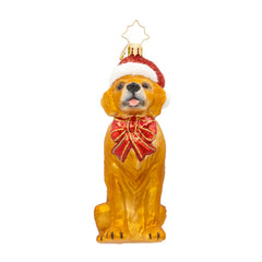 Golden Paws Pal