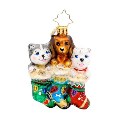 Puppy Presents Gem