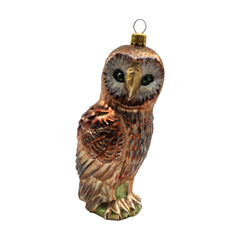 Brown Owl