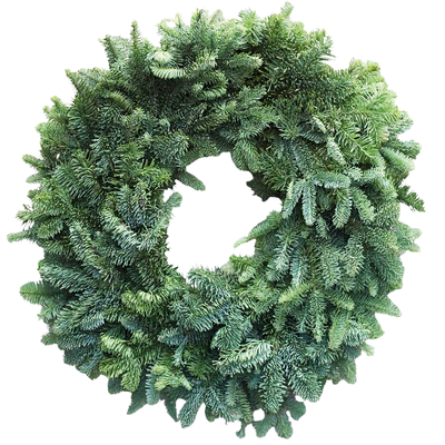 Plain Noble Wreath 20"