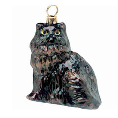 Black Persian Cat