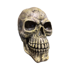 Oversized Skull - 14