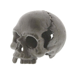 Skull Without Jaw - 5