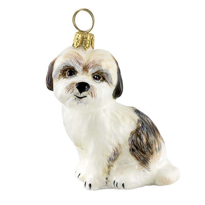 Cavachon