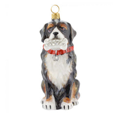 Bernese Mtn Dog W/ Dog Bone
