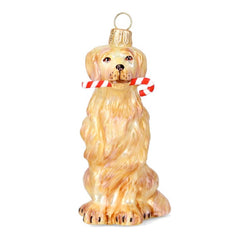 Golden Retreiver Candy Cane