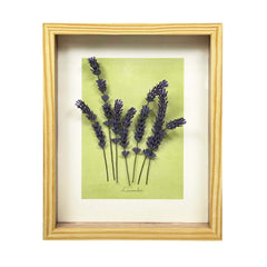 Lavender Garden - 5