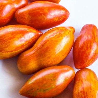 Prairie Fire - 1 Gallon