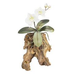 White Metal Orchid - Small
