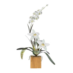 Cattleya White Metal Orchid