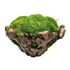 Faux Mossed Branchy Bowl - Small