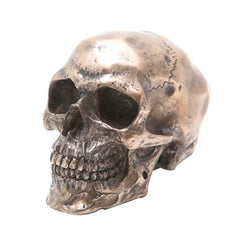 Bronze Skull