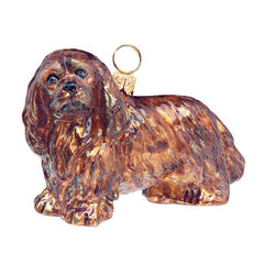 Cavalier King Charles Ruby