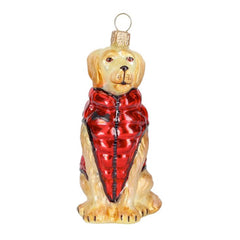 Golden Retriever In Puffer