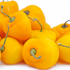 Manzano Orange - 4