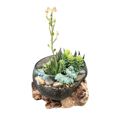 Faux Blooming Succulent Teak Vase Arrangement
