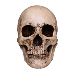 Creepy Skull