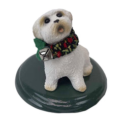 Dog Bichon