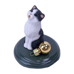 Cat Millie