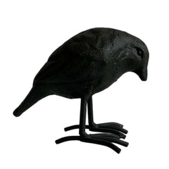 Iron Black Raven - 4