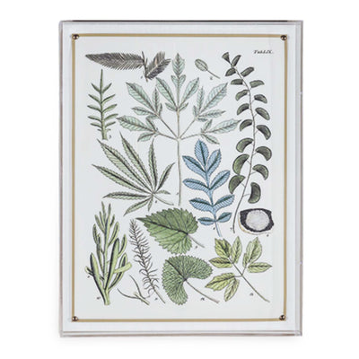 Ferns Panel #197 - 26"x20"