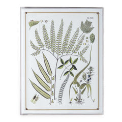 Ferns Panel #194 - 26