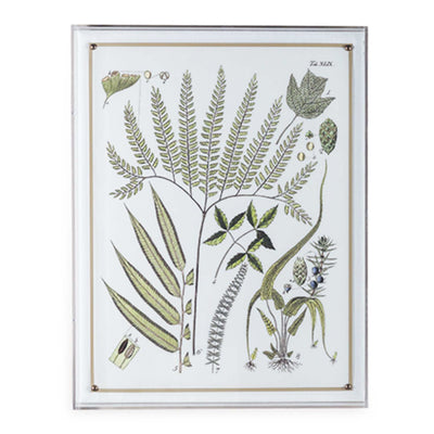 Ferns Panel #194 - 26"x20"