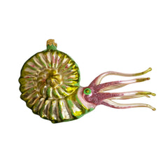 Free Blown Sea Snail