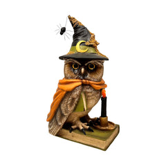 Woodsy The Wonderful Wizard Owl - 13