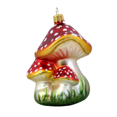 Mushroom Family