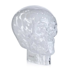 Clear Skull - 7