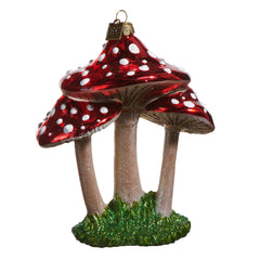 Red Mushroom Trio - 5.5