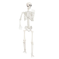 Titan Skeleton - 7' Tall