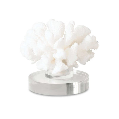 Hard Coral - Small