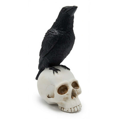 Black Raven on Skull - 9" Tall