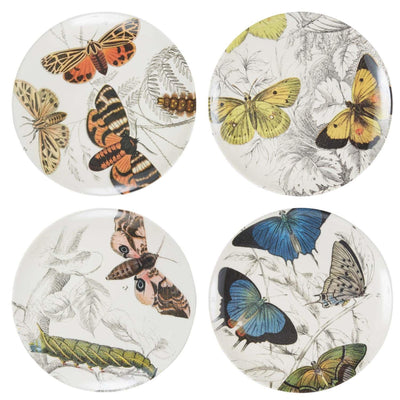 Specimen Side Plates - Set of 4