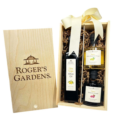 Roger's Gardens Olive Grove