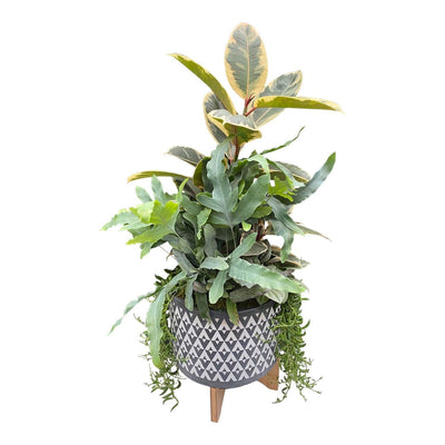 Foliage in Large Grey Aztec Planter