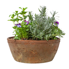 Cocktail Spice Garden Pot