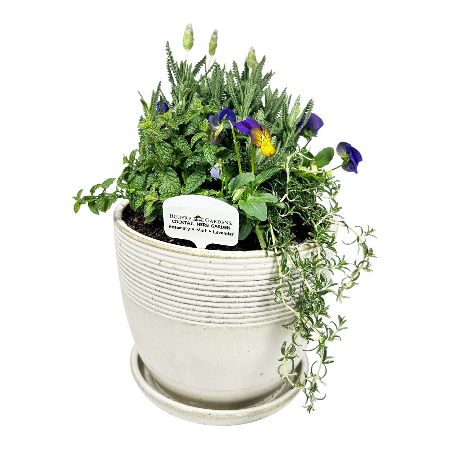 Cocktail Herb Garden – Roger's Gardens