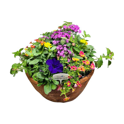 Hummingbird Garden Bowl - 14"