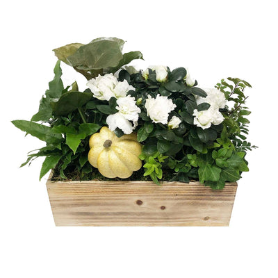 Small White Autumn Long and Low Living Centerpiece