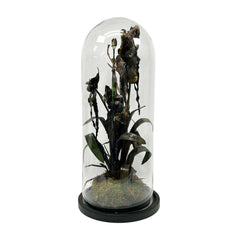 Seeing Eye Bearded Orchid Cloche
