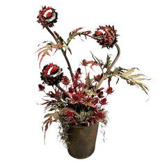 Audrey Trio in Clay Pot