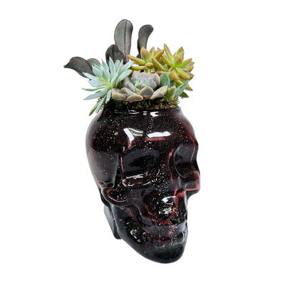 Succulents in Plum Glass Skull