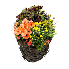 Fall Color in Large Grapevine Basket